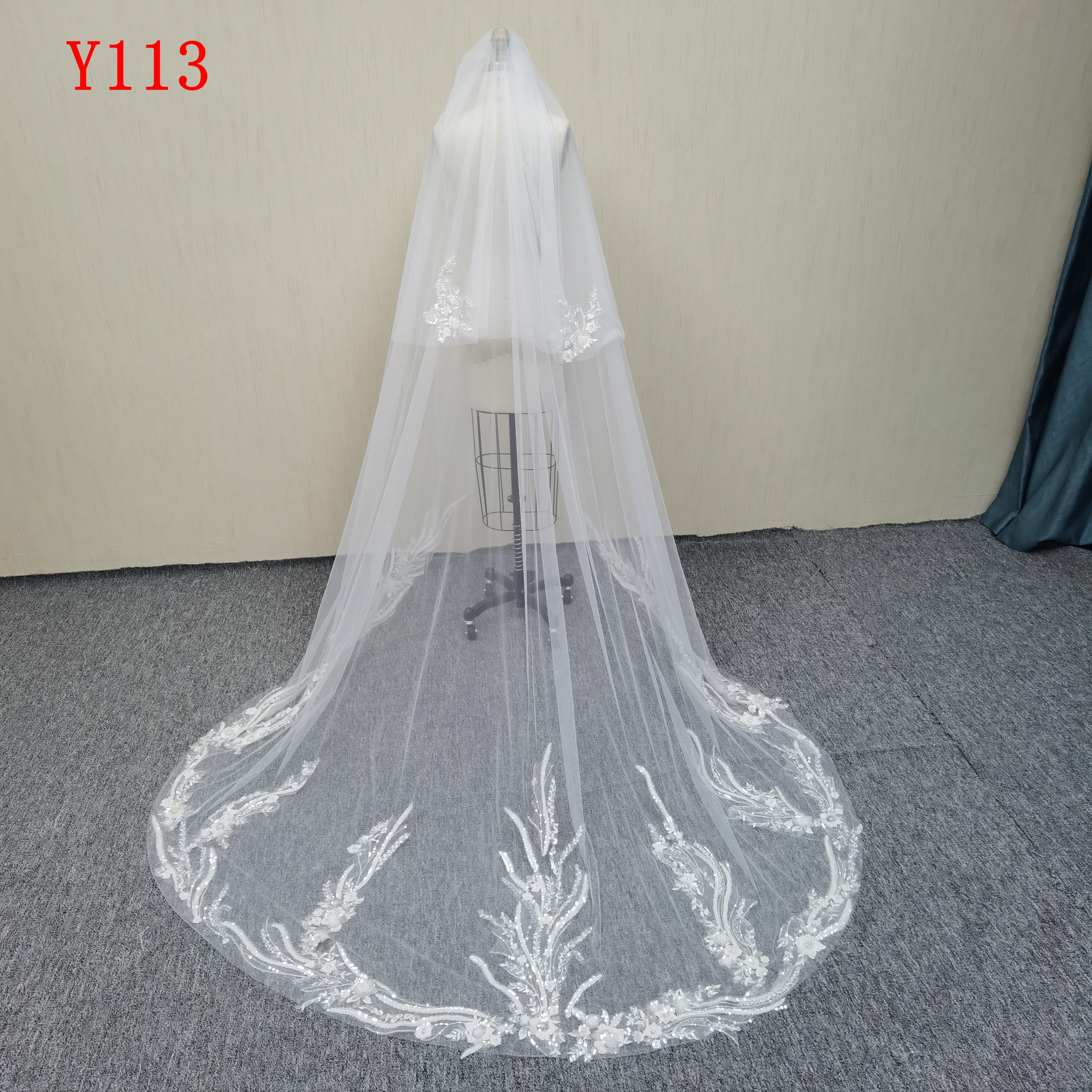 Y113 Veil