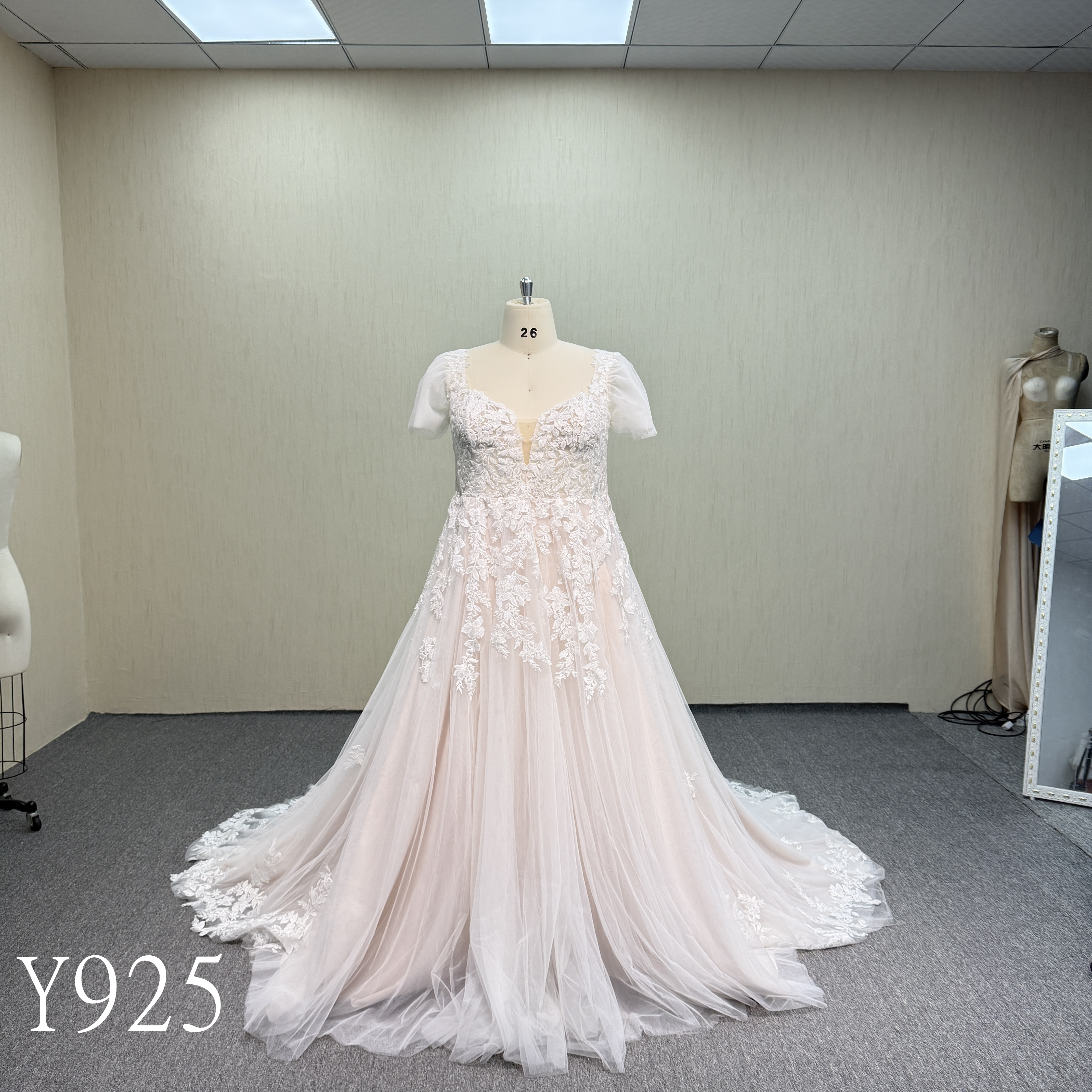 Y925 V-Neck Short Sleeve Tulle Dress with Pearl Button Back