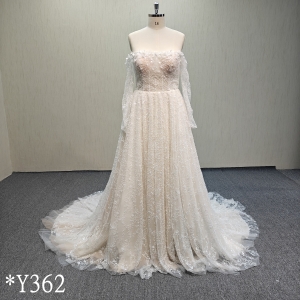 Y362 Whole cut beaded lace wedding gown wedding dress in Champagne