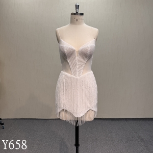 Y658 Tassel Beading Dress