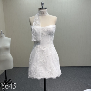 Y645 Short dress--one glitter under the lace and a scarf