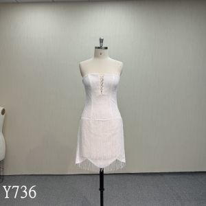 Y736 Luxury Beaded Tassel Corset Back Mini Bridal Shower Dress